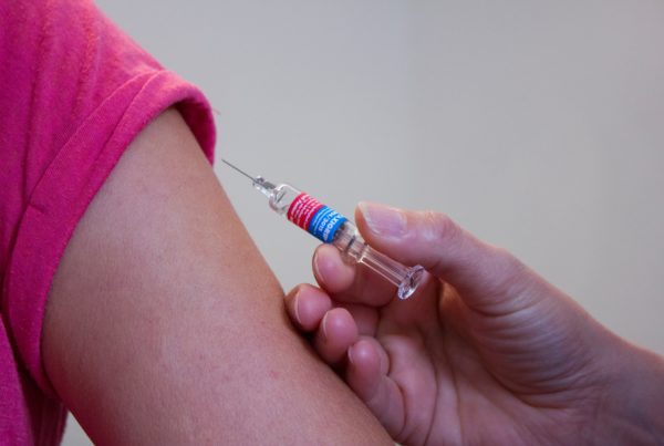 Could Cow Antibodies Prevent HIV?