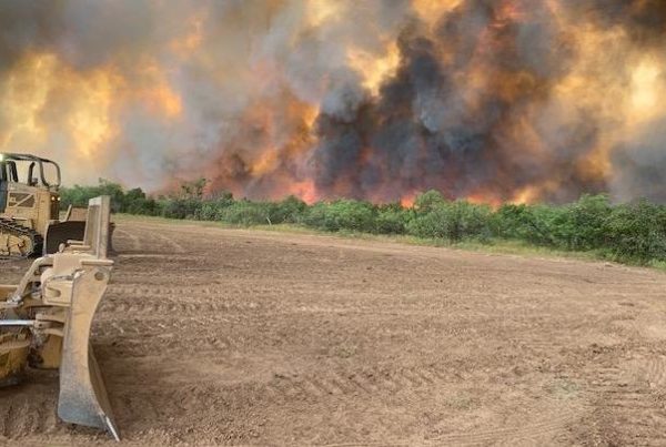 Two Wildfires With Unknown Causes Burning Through Panhandle Brush Land