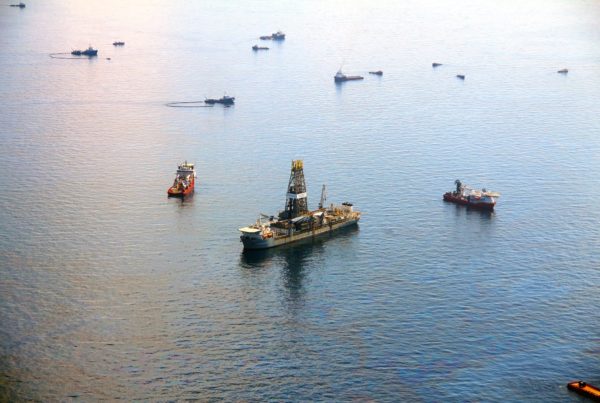 Near Deepwater Horizon Spill Site, Sea Creatures Looking For Mates Find Death Instead