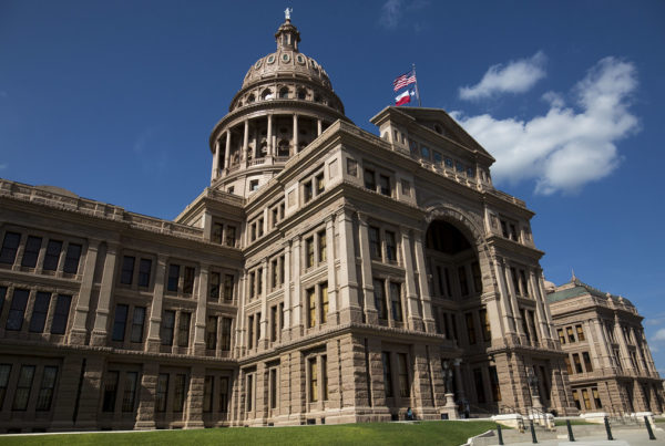 From Prohibiting Income Taxes To Retired Police Dogs: Voters Face Choices On November Ballot