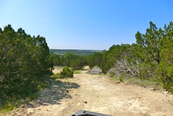 Take A Walk Around Marble Falls