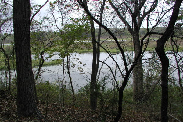 The City Of Fort Worth Has A Plan To Protect Open Spaces