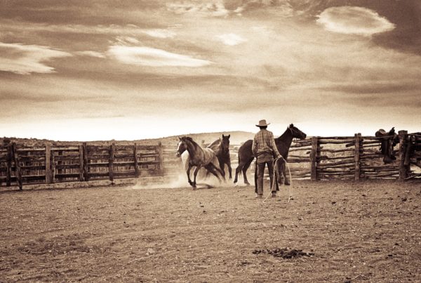 First Wittliff Collections Festival Will Celebrate Texas Culture, Literature And Music