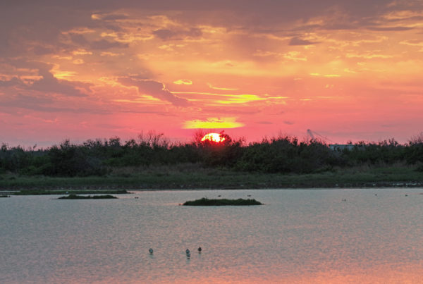 Port Aransas Offers Resort-Style Accommodations And Seaside Fun