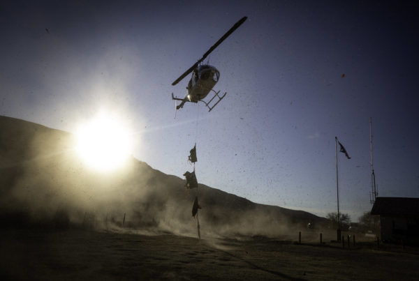 Protecting Texas’ bighorn sheep requires a hands-on approach