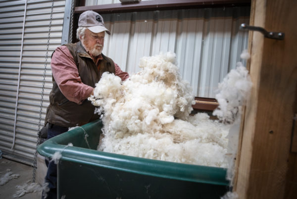 Texas Wool Mills Hang On To A Tradition