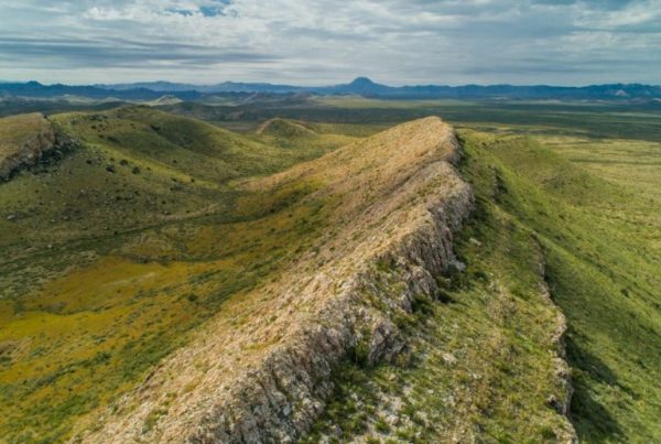 Brad Kelley’s 420,000 Acre Ranch Is For Sale In Brewster County
