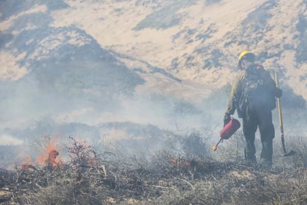 The Pentagon Says Wildfires, Driven By Climate Change, Are A Growing National Security Threat