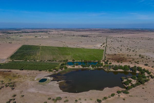 Investigation Reveals Some In Mexico Use Water Concessions To Profit Off More Than Agriculture