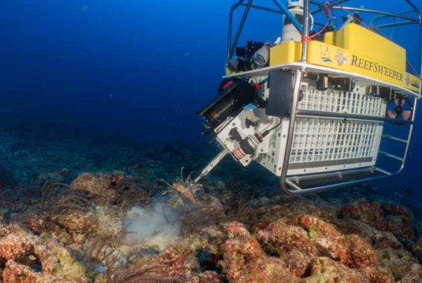 How A Remote-Controlled Harpoon Could Reduce The Threat Posed By Lionfish In The Gulf