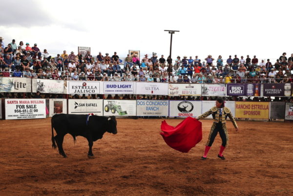 The Last Days Of The Santa Maria Bullring