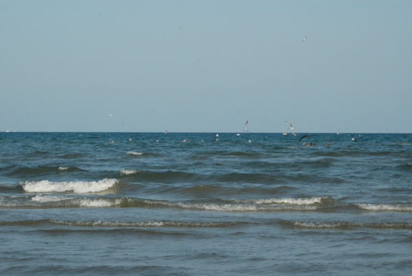Texas Towns Hit Hard As COVID-19 Keeps Tourists At Home