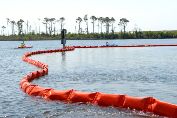 Effects Of ‘Reckless’ Deepwater Horizon Disaster Persist 10 Years Later