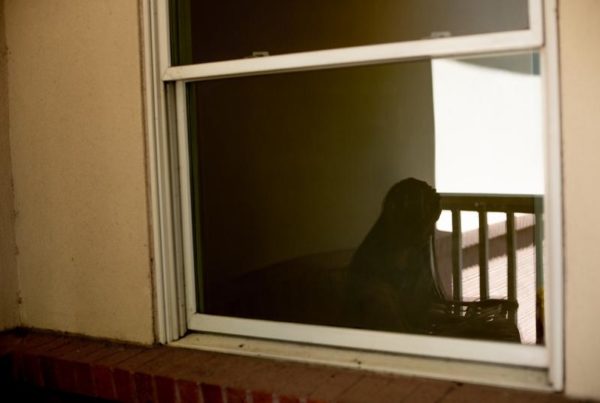 ‘I Had To Make A Decision’: How Domestic Violence Survivors Are Navigating COVID-19