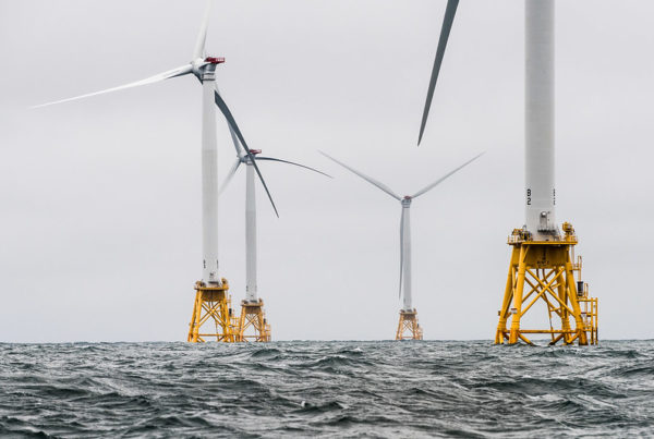 Oil Giant BP Says Peak Oil Usage Is Behind Us