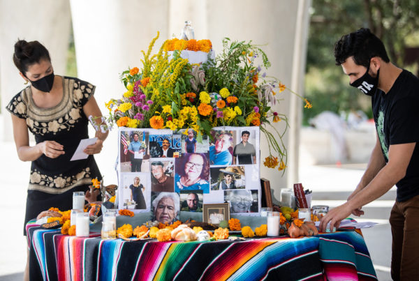 Monarch Butterflies’ Migration Helps San Antonio Remember Those Lost To COVID-19