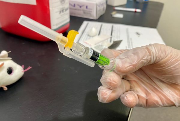 First COVID-19, Now Flu Season Arrives In Texas