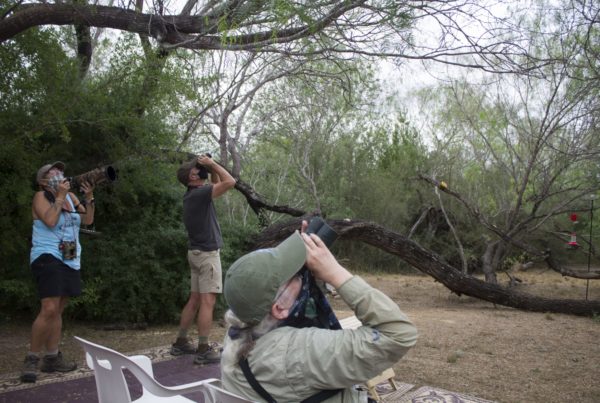 South Texas Birding Preserve Rescinds Agreement To Sell Land To Federal Government After Community Outcry