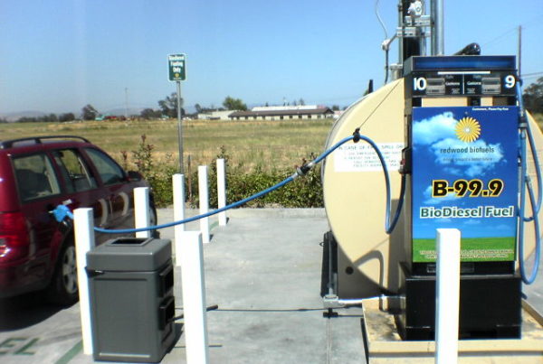 Oil And Gas Industry Facing A ‘Sea Change’ Toward Renewable Fuels