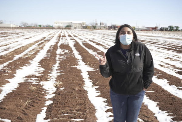 Recent Snow Helps, But Not Enough To Dampen Drought Concerns On The South Plains