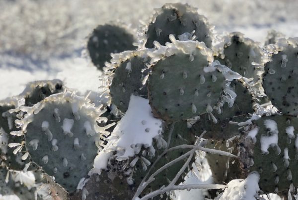 Here Are The Power And Water Outage Tips We’ve Learned The Hard Way
