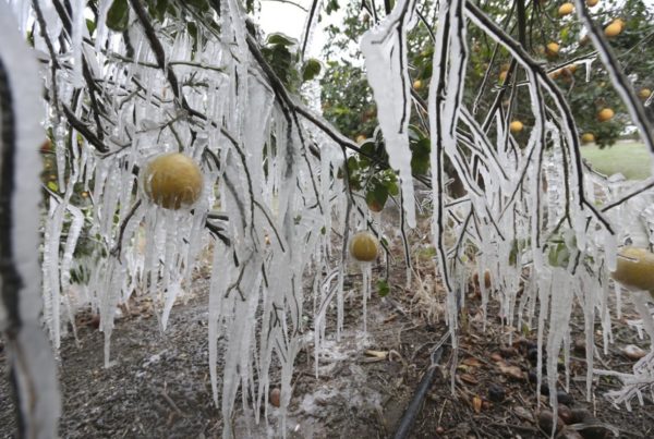 Winter Storm Causes Power Outages On Both Sides Of US-Mexico Border