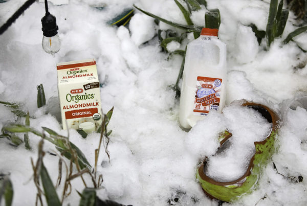 After Deadly Winter Storm, Families File Wrongful Death Lawsuits Against Utilities