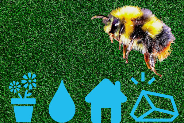 The Art Of Attraction: Four Steps To Bring Pollinators To Your Yard