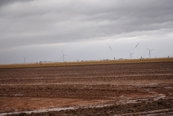 Cotton Producers Facing Highs And Lows Of Recent Storms