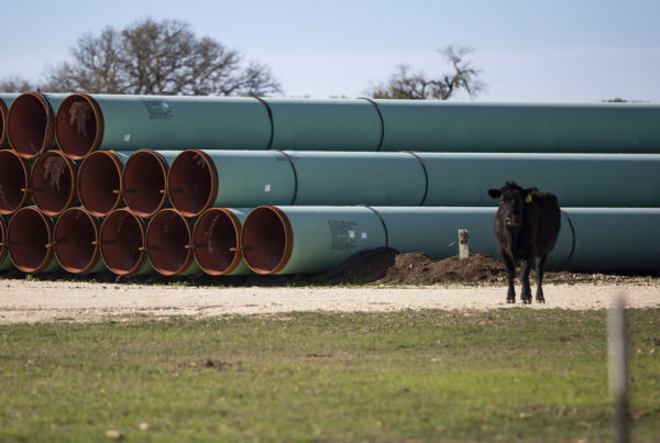 Fact Check: Are Natural Gas Pipelines ‘Insulated’ From Cold Weather?