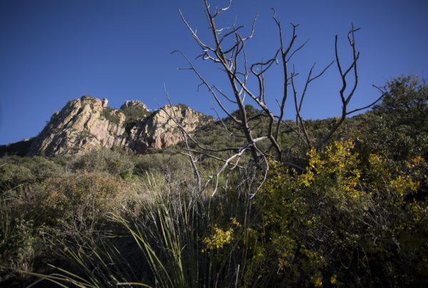 Scholar Says Giving National Parks To Native Tribes Would Be ‘Noble’ Way Of Reckoning With Injustice