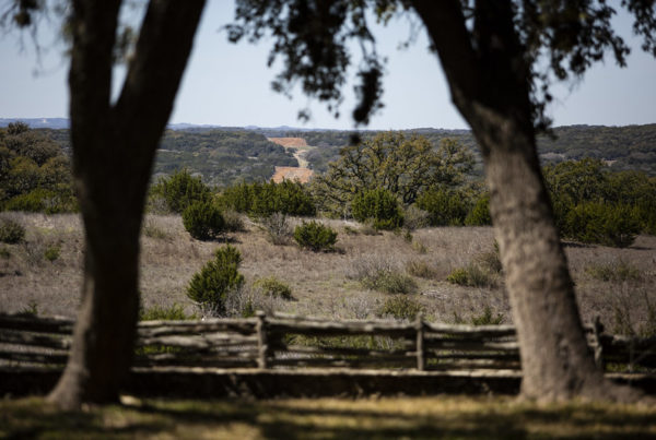 Three Laws Every Rural Landowner In Texas Should Know