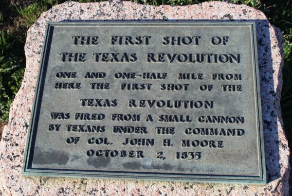 History Professor Argues ‘1836 Project’ Promotes A ‘Two-Dimensional Cartoon’ Telling Of Texas History