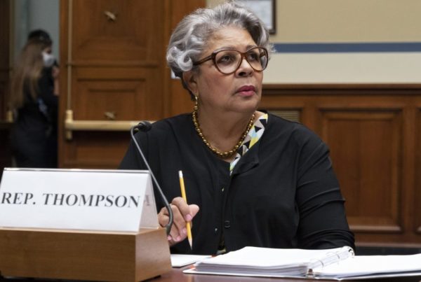 Democrats Defend Walkout, Call For National Voter Protections At Congressional Hearing On Texas GOP Voting Bill