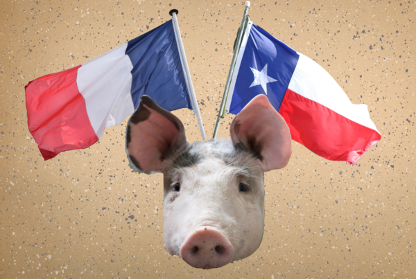 France Went Whole Hog On Texas Independence – Until Some Pigs Got In The Way