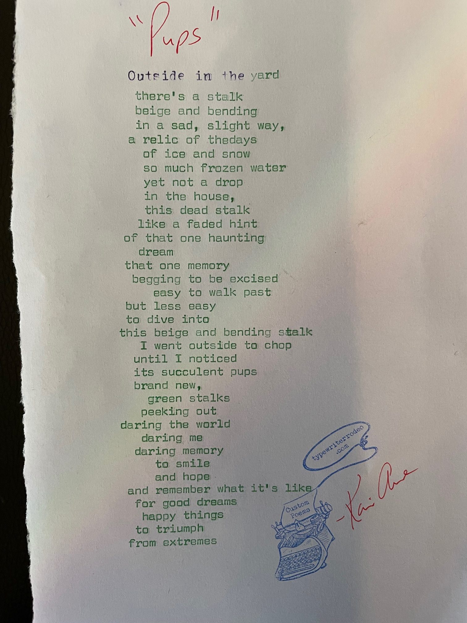 a photo of the typewritten poem on a torn piece of paper