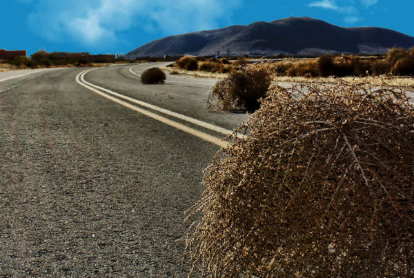 How The Humble Tumbleweed Became Trendy Home Décor