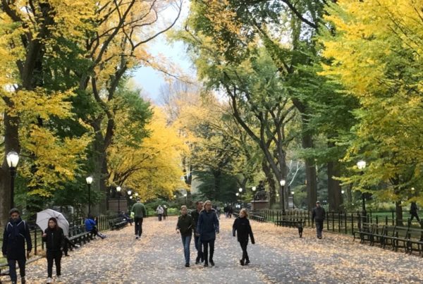 The Woman Who ‘Saved’ New York’s Central Park In The 1980s Is From San Antonio