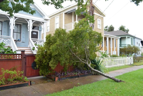 Rest Easy, Gulf Coast: Hurricane Season’s Pretty Much Over
