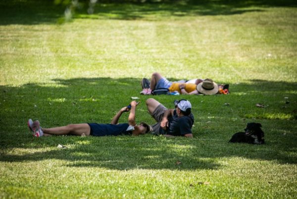 For Most Of Texas, This Summer Was Extreme … Extremely Mild