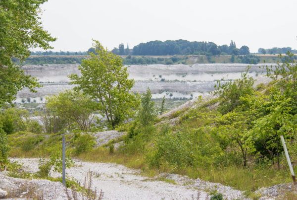 Quarries are polluting parts of the Hill Country. Regulators aren’t stopping them.