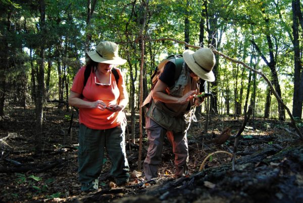 Meet the mushroom hunters behind North Texas’ new mycology club