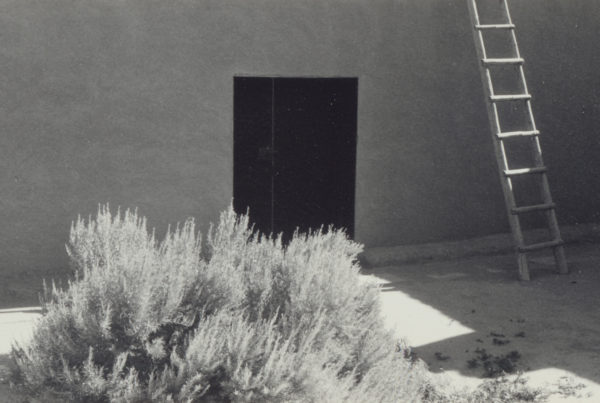 Georgia O’Keeffe’s ‘hidden’ talents: the renowned artist was also a gifted photographer