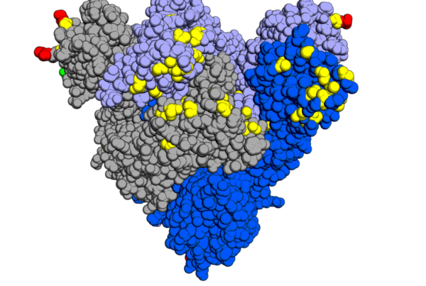 Even as Texas COVID cases decline, public health leaders say omicron variant is on its way