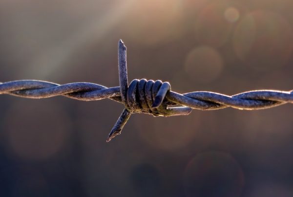 Atrocious but efficient: How ranchers used barbed wire to make phone calls