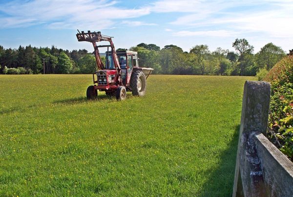 Crop prices are high, but costly fertilizer will squeeze farmers’ profits