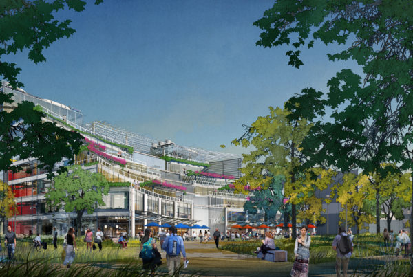 How Houston, Austin and Dallas could become a biotech triangle