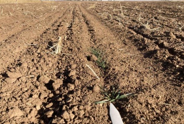 Winter drought, warm temperatures could lead to shifts in growing seasons