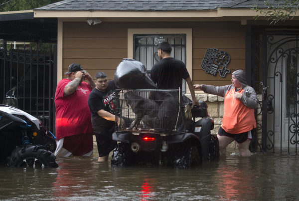 Texas A&M study finds mental health decline in people who experienced repeated disasters