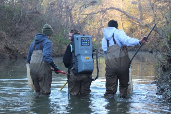 Biologists are optimistic about return of freshwater mussels to upper San Antonio River